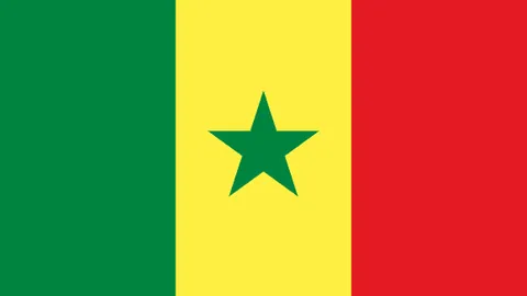 泰国总理强调：电信诈骗打击成效显著，持续加强跨国犯罪整治力度