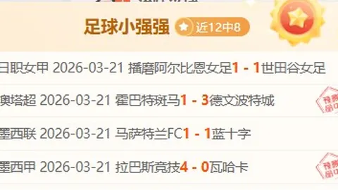 布雷根茨VS奥地利维也纳青年队：专家大乐透期号推荐