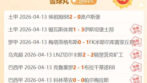 近5场4胜 德篮甲情报：罗斯托vs路德维希堡专家质合分析